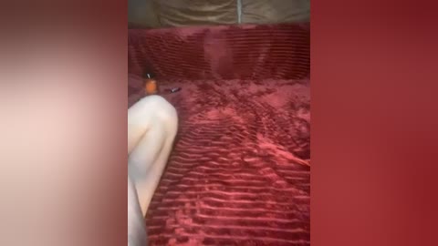 qwertyxxxx777 free recording from 2026-04-01 04:16:00