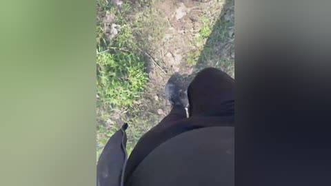 crazy_lady free recording from 2026-04-02 03:40:00