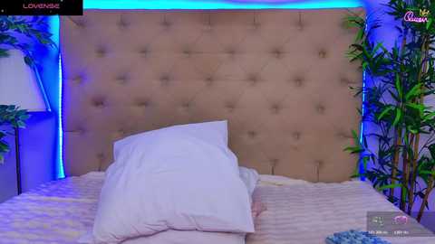 daliyaarabian free recording from 2026-04-02 01:27:00