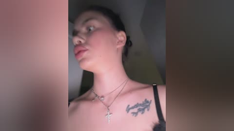 evadesire free recording from 