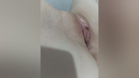 laordkiss free recording from 2026-04-02 01:27:00