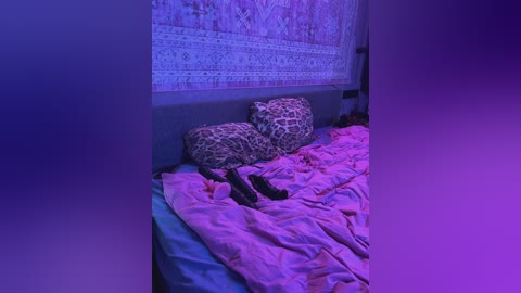 nickimaldini free recording from 2026-04-02 02:07:00