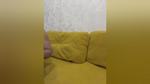 pararam free recording from 2026-04-02 01:46:00