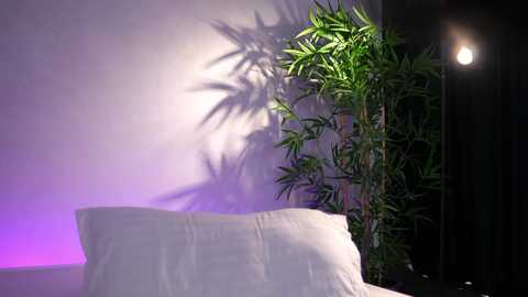 artteasee free recording from 2026-04-03 02:52:00