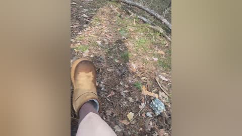Video of a person's brown leather hiking boot with a visible shadow on a forest floor covered in leaves and small twigs.