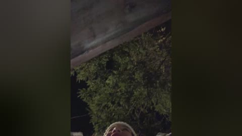 cat_meowa free recording from 2026-04-04 00:11:00