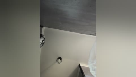 vero19nika free recording from 