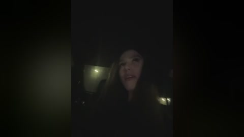 vibromashulkadashulka free recording from 2026-04-04 00:11:00