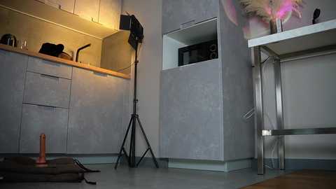 annapurnaa free recording from 2026-04-04 00:47:00