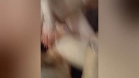 dimashka001 free recording from 2026-04-05 00:12:00