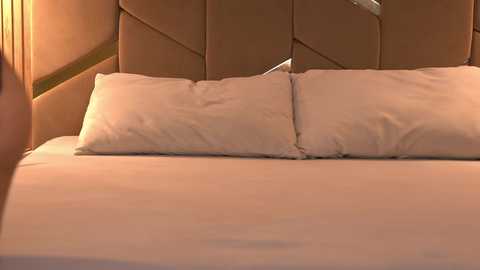 girl_pleasure free recording from 2026-04-04 00:42:00