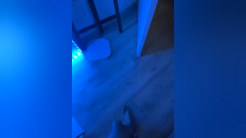 taras0020 free recording from 2026-04-04 03:06:00