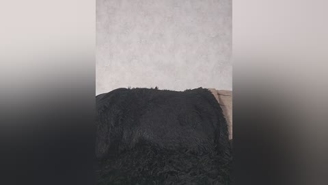 evaangel free recording from 2026-04-05 01:57:00