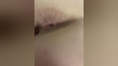 chanel77777 free recording from 2026-04-06 00:30:00