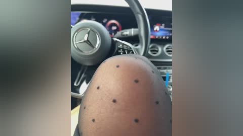 kotofeyka1 free recording from 2026-04-06 00:30:00