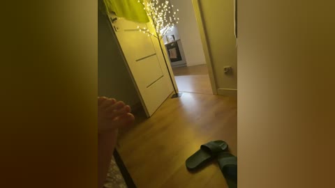 tvoi_kumiry free recording from 2026-04-06 00:13:00