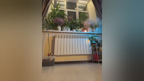 cutiedollbc free recording from 2026-04-08 00:19:00