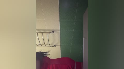 A video showing a woman in a red dress standing in a room with a beige and green tiled wall, with a metal towel rack and a mirror reflecting her partially.