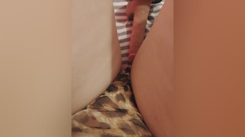 wettigress free recording from 2026-04-12 01:27:00