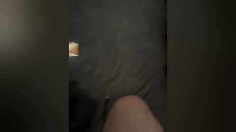 daryakotova001 free recording from 2026-04-08 00:40:00