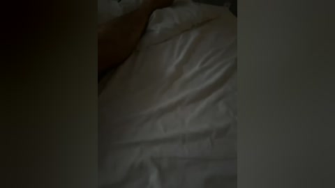 raiad free recording from 2026-04-08 00:19:00