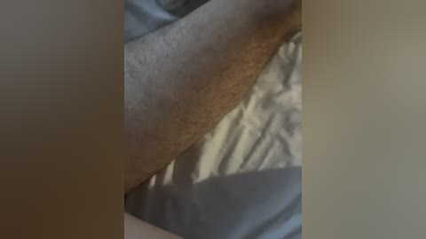 raiad free recording from 2026-04-08 00:19:00