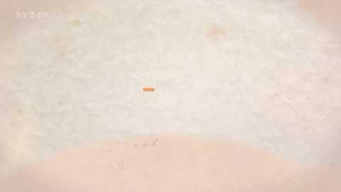 taanni free recording from 2026-04-08 00:40:00