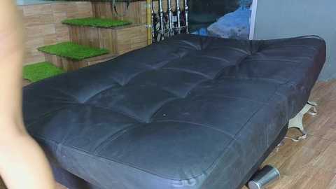 thekingthequeen free recording from 2026-04-09 01:52:00