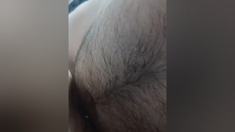 astahichalena free recording from 2026-04-09 00:12:00