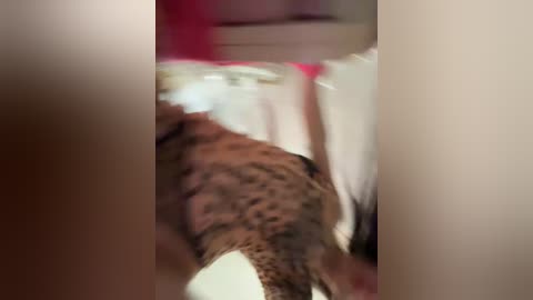 vip17coupledream free recording from 2026-04-09 01:59:00