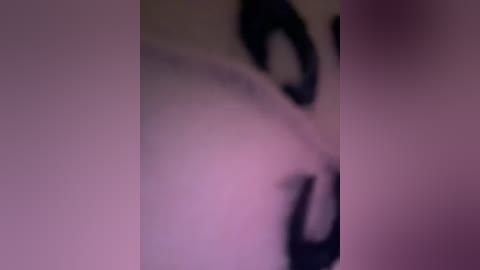 vip17coupledream free recording from 2026-04-09 01:59:00