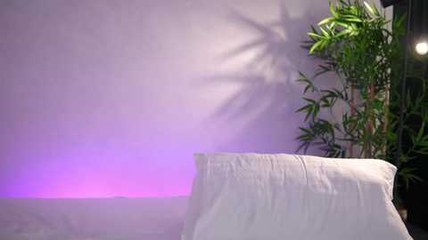 artteasee free recording from 2026-04-10 00:36:00