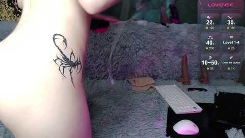 _kitten_meow_ free recording from 2026-04-11 04:15:00