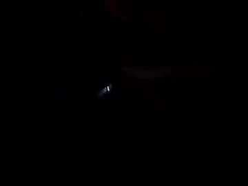 sallyeleins free recording from 2026-04-11 00:50:00