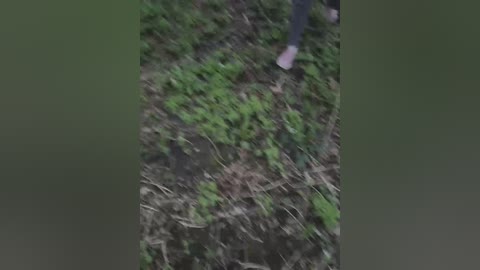 sun_moon free recording from 2026-04-11 00:46:00