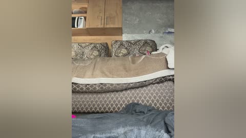 sweetmammy_1 free recording from 2026-04-11 00:46:00