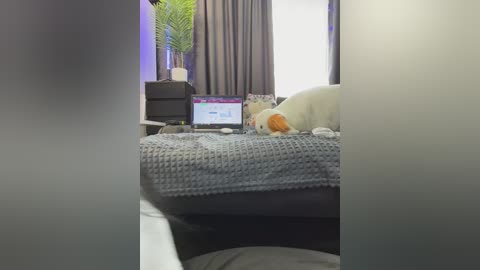 vero19nika free recording from 2026-04-11 00:46:00