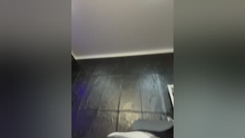 vero19nika free recording from 2026-04-12 00:50:00