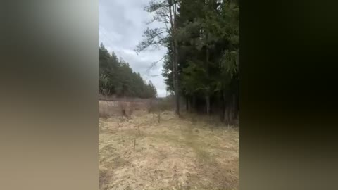 aniram2221 free recording from 2026-04-12 01:27:00