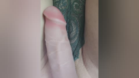 wettigress free recording from 2026-04-12 01:27:00