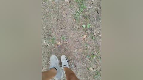 aniram2221 free recording from 2026-04-14 10:57:00