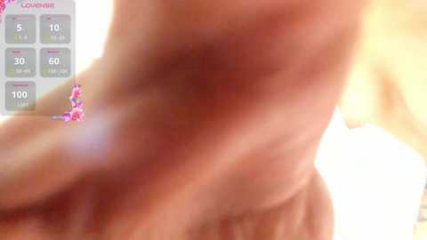 anzukim free recording from 2026-04-14 02:42:00