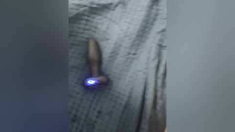 astahichalena free recording from 2026-04-14 02:03:00