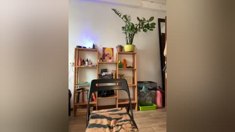 lustful_angels free recording from 2026-04-14 02:03:00