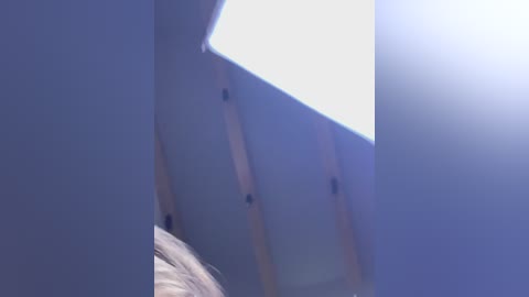 nezukoo free recording from 2026-04-14 02:03:00