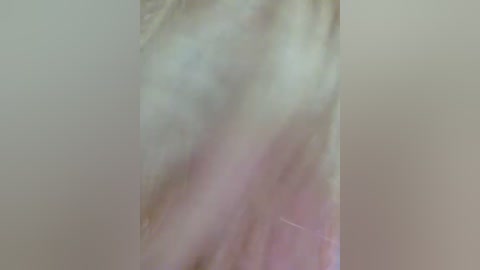 terrirose free recording from 2026-04-15 00:35:00