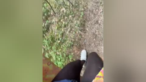 aniram2221 free recording from 2026-04-15 00:18:00