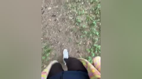 aniram2221 free recording from 2026-04-15 00:18:00