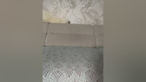 lolafox free recording from 2026-04-15 00:11:00