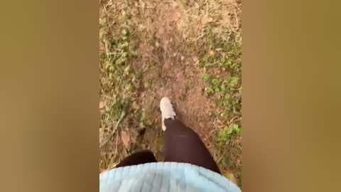 aniram2221 free recording from 2026-04-16 00:51:00